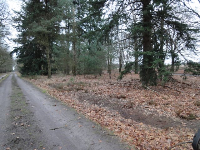 NWK 016.jpg